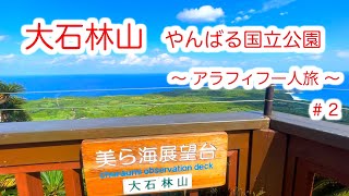 【 大石林山  #２ 】　大石林山おもしろ岩ツアーで絶景！世界遺産やんばる国立公園 北部　ここ絶対いかないと損します！！