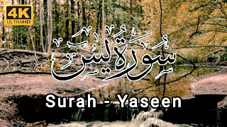 Surah Yaseen | Surat Yasin | Surah Yasin Recitation | Hafiz Arshad Ahmad Official