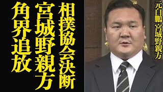 宮城野親方の角界追放を相撲協会がついに決断か…相撲界の外交窓口として動いていた元白鵬の明るみになった”悪行”、擁護できない事態に発展で警告するも衝撃の現状が明らかに…【芸能】