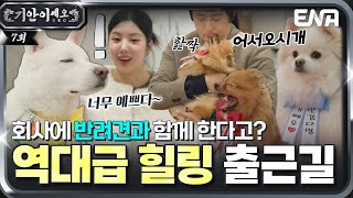 댕댕이가 몰려온다!🐶 권인턴과 기쎄오를 환영하는 강아지들💗 #기안이쎄오 EP.07