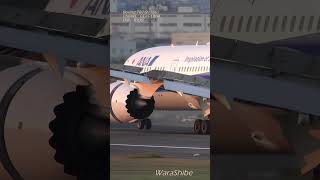 ANA BOEING B787-9 | Pilot endures shaking cockpit during landing | ITM/RJOO #Shorts