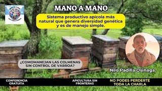 POLEMICO 👉 Sistema productivo apícola más natural que genera diversidad genética y de manejo simple