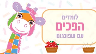 לימוד הפכים לילדים | לומדים עם שפונגום הג'ירפה