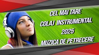 Cel Mai Tare Colaj Instrumental cu Muzica de Petrecere 2025