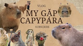 Đi Thăm #capybara Ở Vườn Thú ZooDoo Cùng My nè! #myinnhatrang #travel