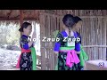 noj zaub zaub cheyanne lee hmong kid nursery song