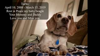 In Memory of Turbo