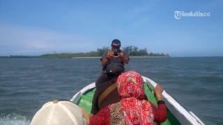 VIDEO Pesona Pasir Putih Pantai Pangempang Jika Beruntung Bisa Ketemu Bekantan