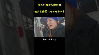 キツネの家族になった女性！