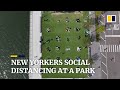 Coronavirus: Outdoor social distancing circles arrive in New York