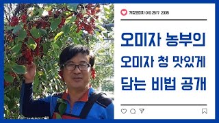 오미자 농부가 들려주는 오미자 청 맛있게 담는 방법