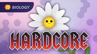 Plants Are Hardcore: Plant Anatomy & Physiology: Crash Course Biology #42