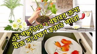 কিভাবে সারা বছরের জন্য নাগা মরিচ বীজ সংরক্ষণ করে রাখেন seeds saving from naga/ gardening tips Bangla