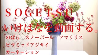 嶋直香生け花を動画する。No.359