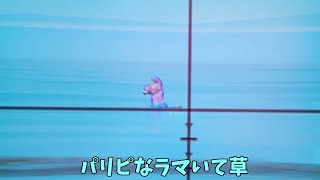 キル集の裏側10【フォートナイト】