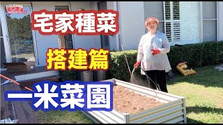 （136上）宅家，造田种菜吧 | 一米菜園如何搭建？| Turning My Backyard Into A Vegetable Garden|Joanna澳洲生活