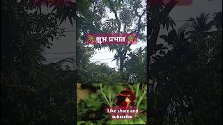 शुभ प्रभात कोकण #nature #trending #youtube #viral #kokan