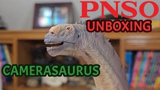 2024 PNSO Camerasaurus Unboxing