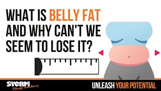 What is belly fat and why cant we seem to lose it?