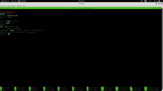 Buffer overflow example (vulnserver.exe and TRUN command)