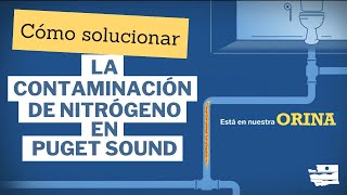 Cómo solucionar la contaminación de nitrógeno en Puget Sound