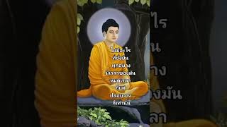 #ธรรมะสอนใจ#ไม่มีอะไรที่ยั่งยืนทุกอย่างมีเวลาของมันหมดเวลาก็แค่ปล่อยวางเท่านั้น#ขออนุญาตเจ้าของคลิป