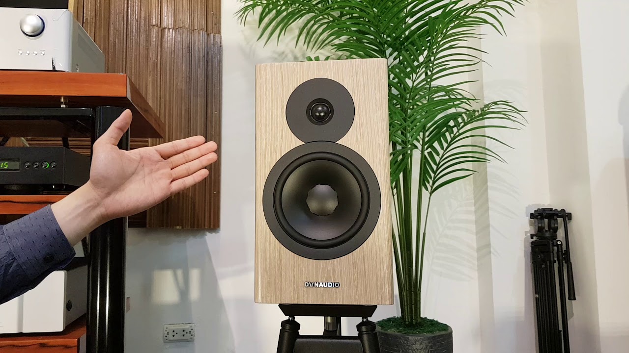 Đánh Giá Loa Dynaudio Evoke 20 - Đại Lý Loa Dynaudio Chính Hãng - YouTube