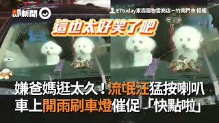 嫌爸媽逛太久！流氓汪猛按喇叭　車上開雨刷車燈催促「快點啦」