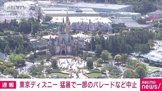 【速報】東京ディズニーリゾート　暑さで予定していたパレードと一部のショーを中止(2023年7月17日)