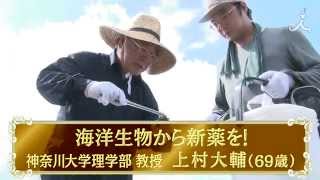 TBS「夢の扉＋」1月11日 #183「海洋生物から新薬を！」