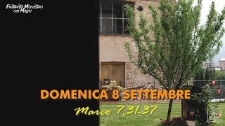 DOMENICA 8 SETTEMBRE - Riflessioni di Francesco Fiorillo