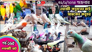 সবথেকে বড় কবুতরের হাট পর্ব-১৬৫ Largest pigeon market in Khulna খালিশপুর, নয়াবাটি, চিত্রালী, খুলনা