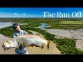 Barra Fishing the NT Run Off for Saltwater Barramundi!