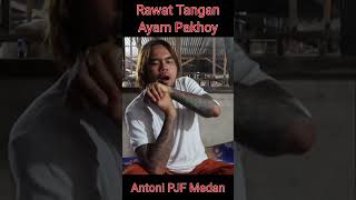 Antoni PJF Medan || Cara Rawat Tangan Ayam Pakhoi #ayamphakoy #ayampamangon #ayamlucu