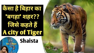 Bagaha documentary by Shaista / बगहा शहर  एक परिचय ~ शाईस्ता