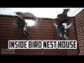 Inside Bird Nest House in Koh Kong | Ches Sak Bird Nest House