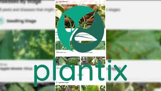 Best Agricultural App | Plantix | Android/iOS