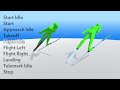 Ski Jumping Animations by Nazca Art Studios