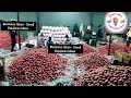 மாதுளை பழம் கிலோ 43 ரூபாய்க்கு கிடைக்கும் pomegranate wholesale market rate anar