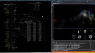 OPA, A live memory debugger for C programs