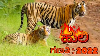 🐯Tiger, ಕಾಳಿ ಹುಲಿ ಸಂರಕ್ಷಿತ ಪ್ರದೇಶದಲ್ಲಿ ಹುಲಿಗಳ ಗಣತಿ ಮುಕ್ತಾಯ. ಎಷ್ಟಿವೆ ಹುಲಿಗಳು🐯DDL news(14-05-22)