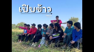 เปิปข้าว 2  - DekHong 03 |Unofficial MV|