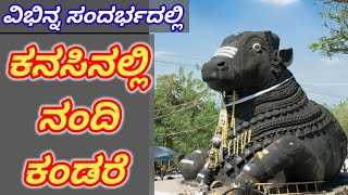 ಕನಸಿನಲ್ಲಿ ನಂದಿ ಕಂಡರೆ. Kansinalli nandi kandare