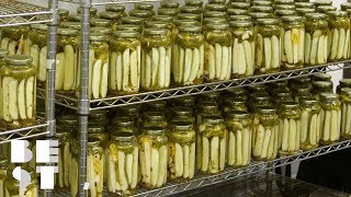 Do Not Miss Behinds the Scenes of The Real Dill Pickle Factory | Best Products