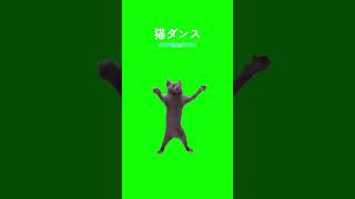 猫ミームNo.074：猫ダンス #猫ミーム #猫 #TikTok #CapCut #catmeme