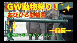 🐯GW💖動物祭り‼️前編！北海道で唯一のゾウがいるおびひろ動物園！we went to the zoo!MOAMOAちゃんねる