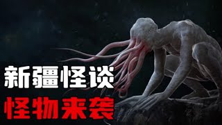 【新疆怪谈】老司机开车时遇到的诡异经历！