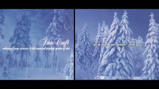 State Craft - Embracing Serene Memories In This Nocturnal Snowlight Garden Of Eden (1998) Full album