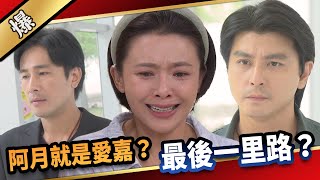 《八點檔搶先爆》愛的榮耀 EP219 阿月就是愛嘉？ 最後一里路？