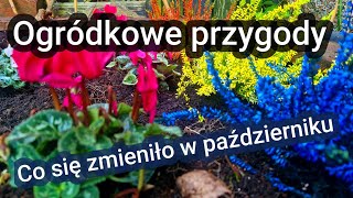 Jesienny przegląd ogrodu - co się zmieniło?